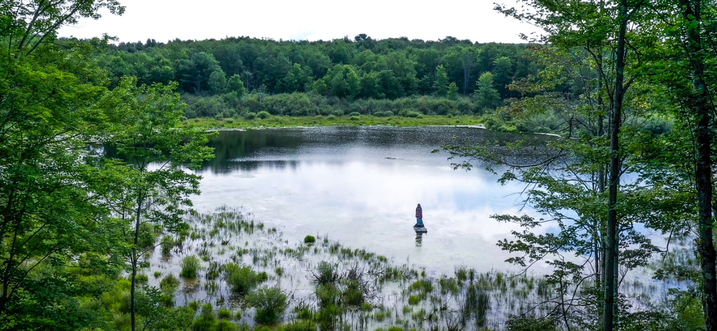 Blessed Mother Statue In Lake