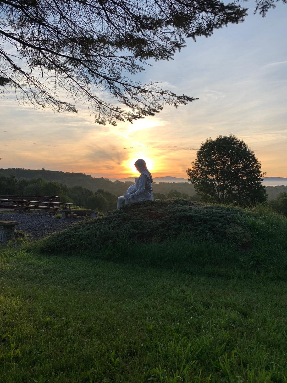 Image 12