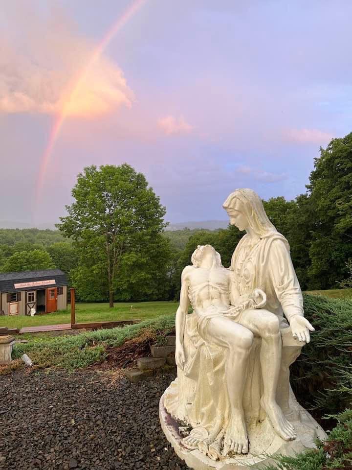 Image 13