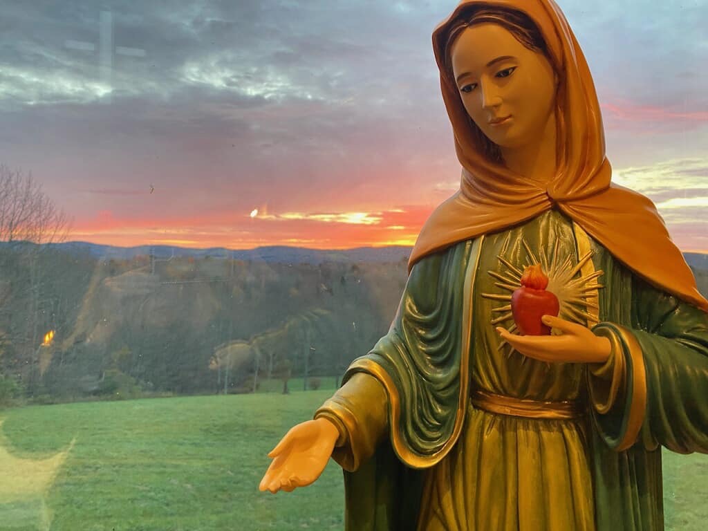 Image 15