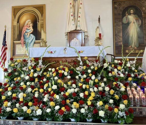 Image 2 3