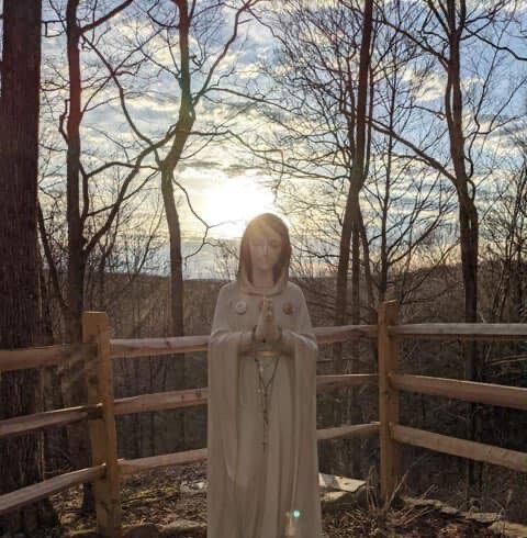 Image 24