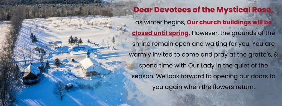 Open Hours In November (2)